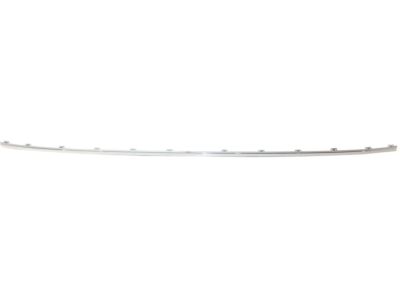GM 20982426 Molding