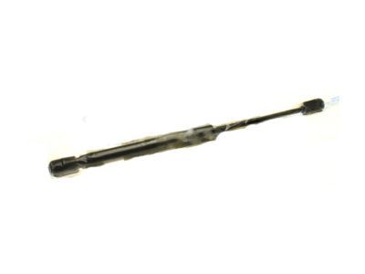 GM 15843995 Lift Cylinder, Rear