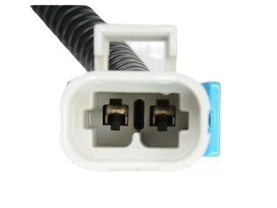GM 12568241 Air Pump