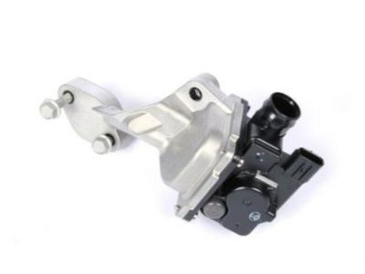 GM 12556070 Check Valve