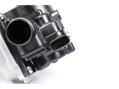 GM 12556070 Check Valve