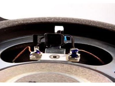GM 15824053 Rear Speaker, Driver Side