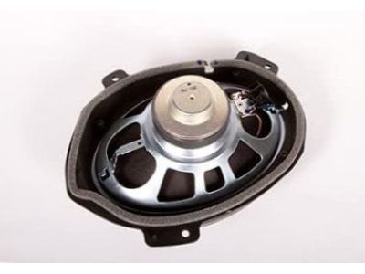 GM 15824053 Rear Speaker, Driver Side