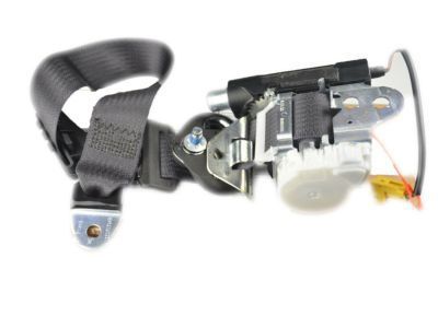 Chevy Silverado 1500 Seat Belt - 19260188