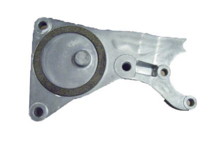 GM 10101898 Tension Pulley