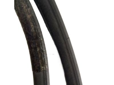 GM 20787126 Weatherstrip, Rear