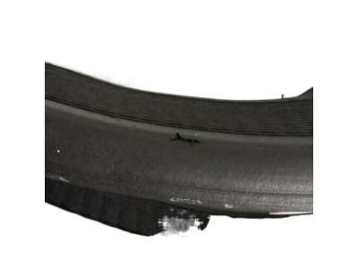 GM 20787126 Weatherstrip, Rear