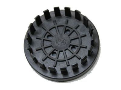 GM 10055333 Center Cap, Gold