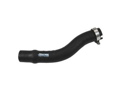 Cadillac Escalade EXT Fuel Filler Hose - 22951232