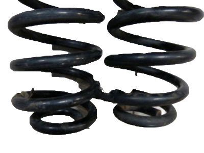 GM 25772411 Spring, Rear