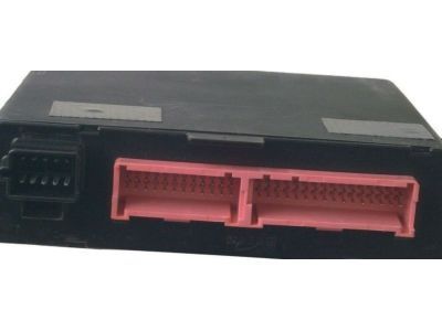 GM 19244876 Body Control Module