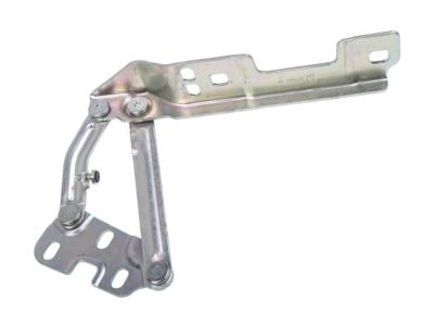 GM 20879202 Hinge, Driver Side