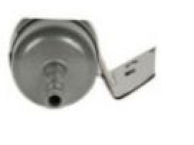 GM 10333072 Fuel Filter