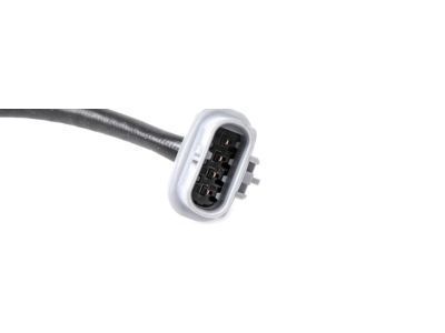 GM 55570074 Oxygen Sensor
