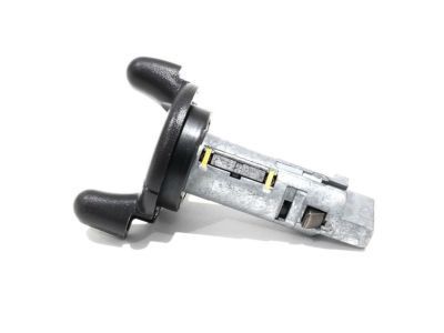 GM 15815961 Ignition Lock Cylinder