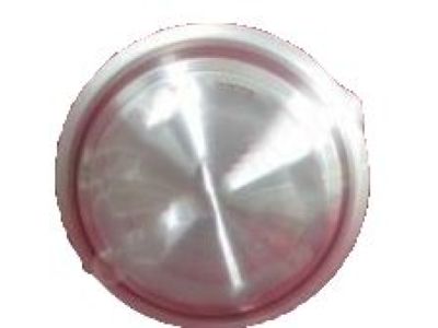 GM 10180840 Hub Cap