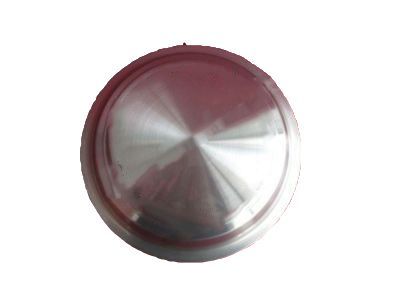 GM 10180840 Hub Cap