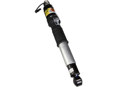 GM 84176675 Shock Absorber, Rear