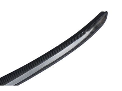 2012 Chevy Silverado 1500 Door Seal - 22766399