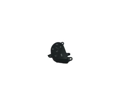 GM 84093281 Radio Switch, Black