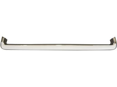 GM 96852700 Front Molding