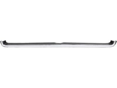 GM 96852700 Front Molding