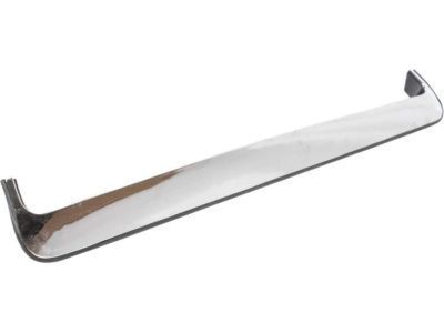 GM 96852700 Front Molding