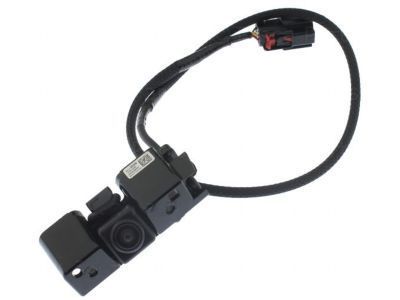 GM 84143039 Rear Camera, Driver Side