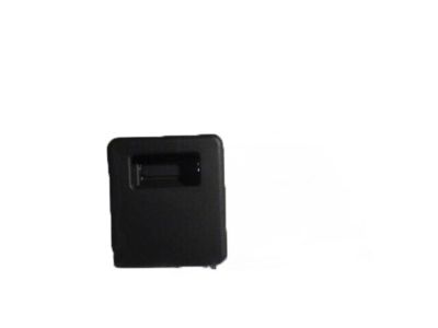 Chevy 23106384 Floor Mat Handle