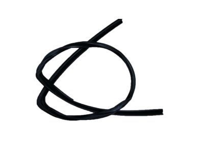 GM 20906468 Run Weatherstrip, Front Driver Side