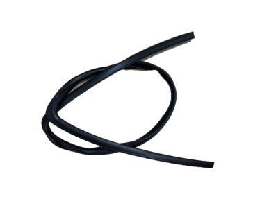 GM 20906468 Run Weatherstrip, Front Driver Side