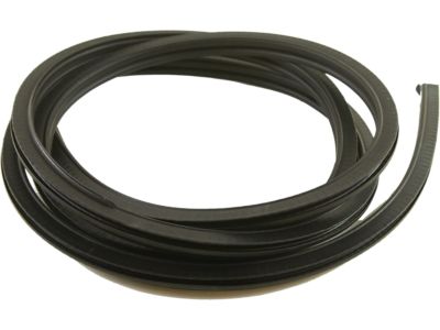 Chevy S10 Weather Strip - 15100040