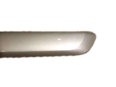 GM 15218575 Side Molding, Driver Side