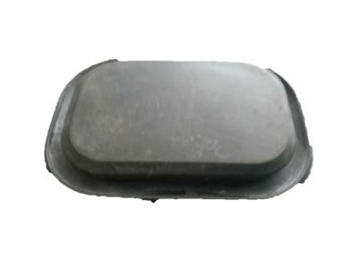 Buick 10283990 Door Shell Plug