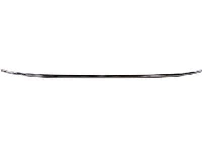 Pontiac 25649502 Molding
