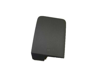 GM 42521219 Access Panel, Dark Gray