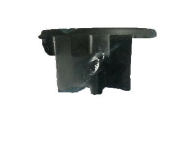 Chevy 15944366 PLUG,PASSENGER SEAT SHOULDER BELT GUIDE(EBONY)