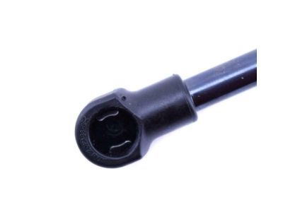 Pontiac 19184244 Lift Cylinder