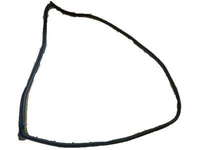 Chevy Astro Weather Strip - 14066002