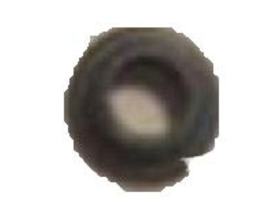 Chevy 10213294 GROMMET,ENGINE FRONT COVER(PART OF 327)