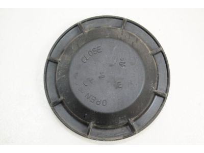GM 20838703 Access Cover