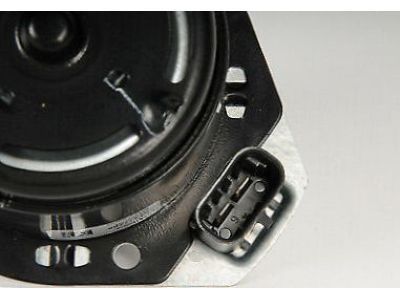 GM 22136897 Fan Motor, Driver Side