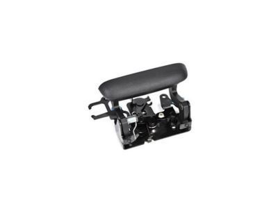 Cadillac Tailgate Handle - 19209650