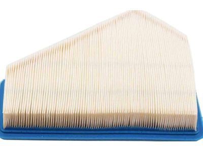 GM 15875795 Air Filter