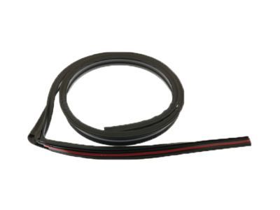 Chevy Avalanche 2500 Weather Strip - 21993936