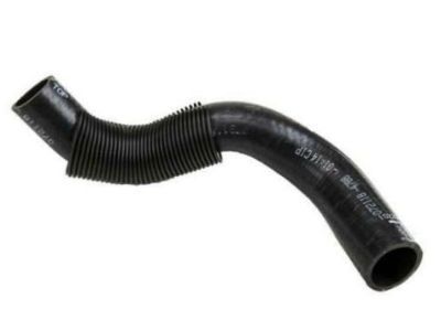 1999 Chevy Corvette Radiator Hose - 10229480