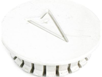 GM 10207641 Center Cap