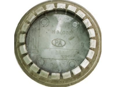GM 10207641 Center Cap