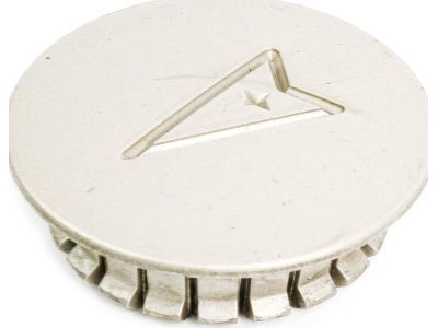 GM 10207641 Center Cap