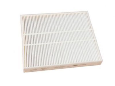 GM 23393247 Air Filter, Passenger Side